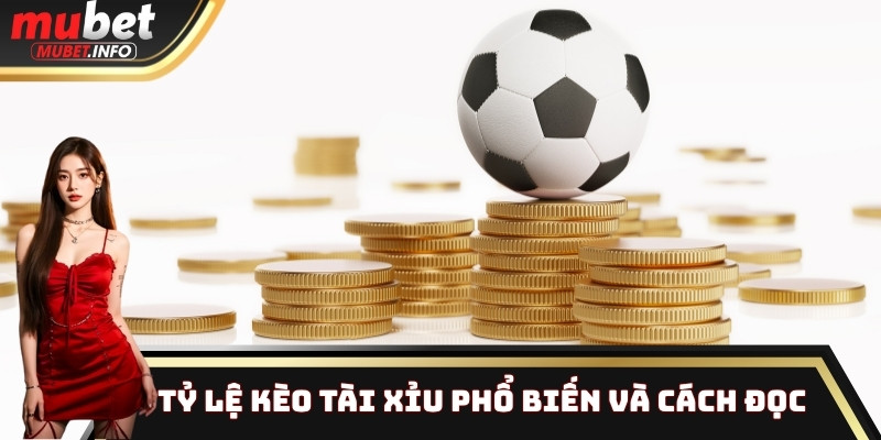 Kèo Tài Xỉu Chi Tiết - Bí Quyết Đánh Bại Nhà Cái Với Phân Tích Chính Xác Và Chi Tiết Nhất